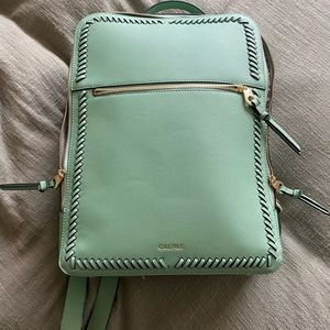 Calpak Laptop Bag